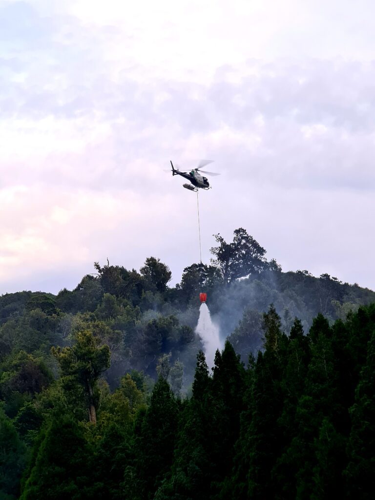 Helicopter conducting a targeted aerial water drop from a suspended fire bucket over a dense forest canopy